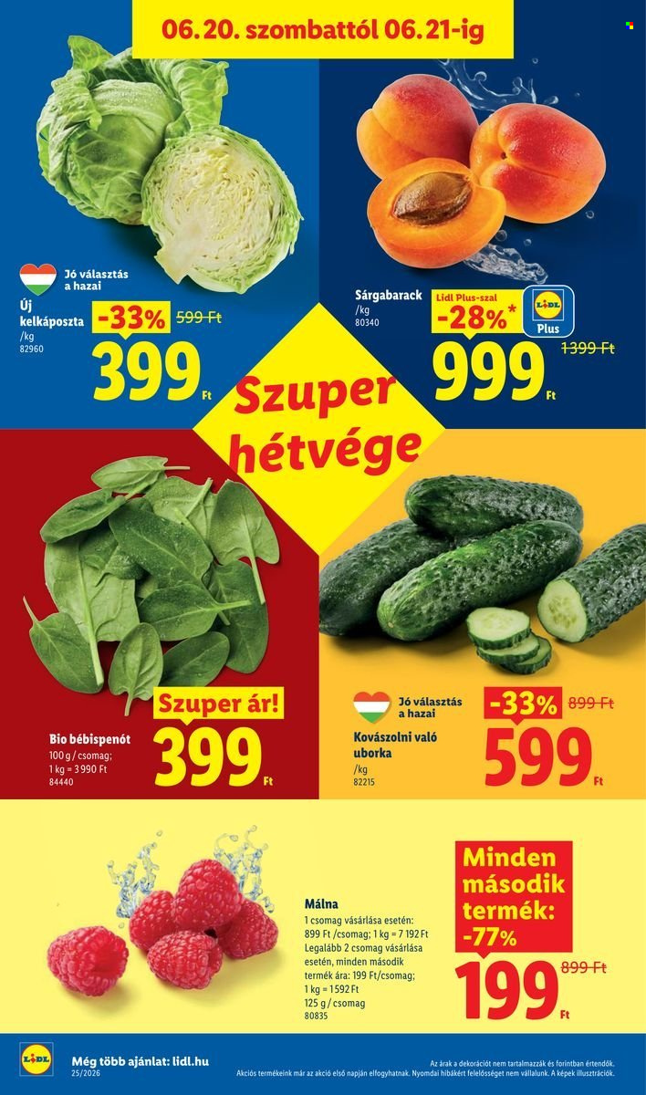 Lidl akciós újságok - 2026.06.18 - 2026.06.24. Oldal 50