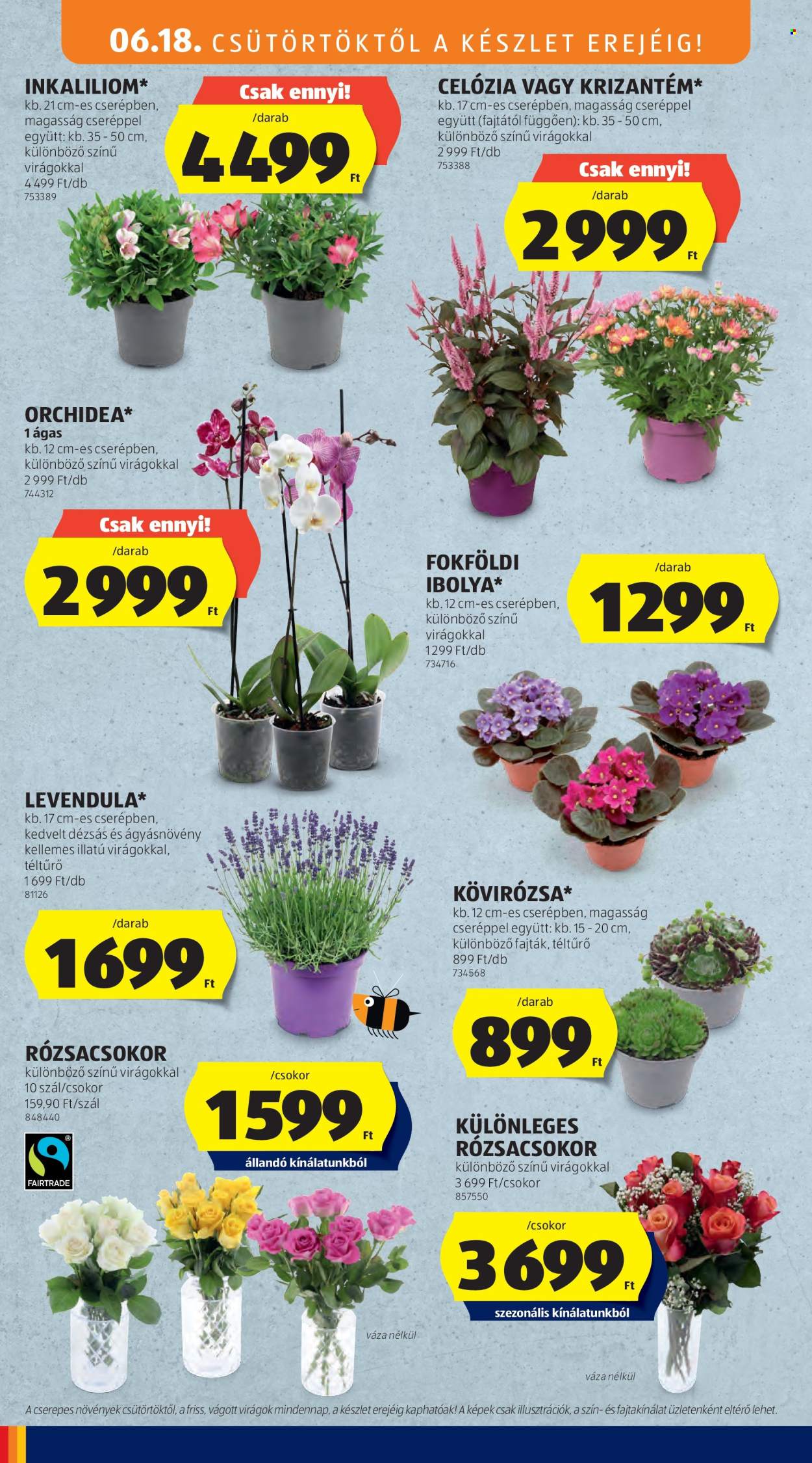 Aldi akciós újságok - 2026.06.18 - 2026.06.24. Oldal 12