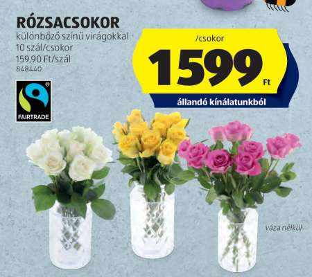 RÓZSACSOKOR