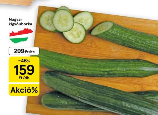 Magyar kígyóuborka