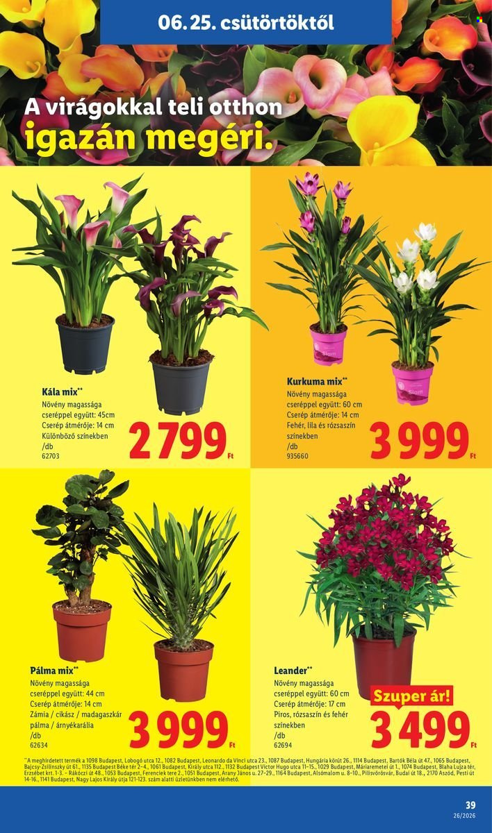Lidl akciós újságok - 2026.06.25 - 2026.07.01. Oldal 39