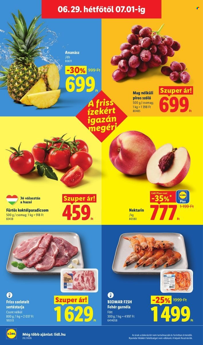 Lidl akciós újságok - 2026.06.25 - 2026.07.01. Oldal 60