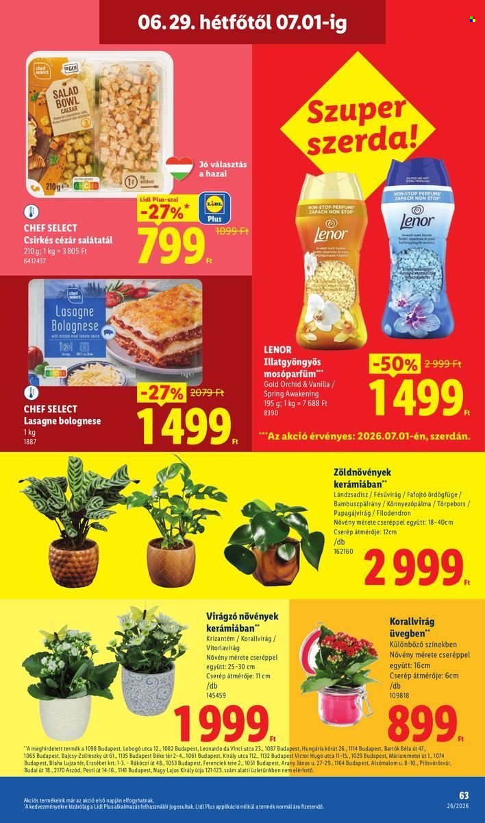 Lidl akciós újságok - 2026.06.25 - 2026.07.01. Oldal 63