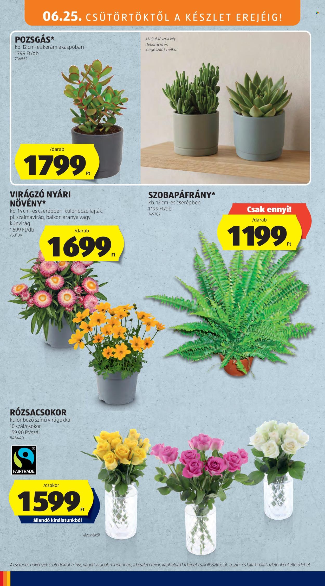 Aldi akciós újságok - 2026.06.25 - 2026.07.01. Oldal 30