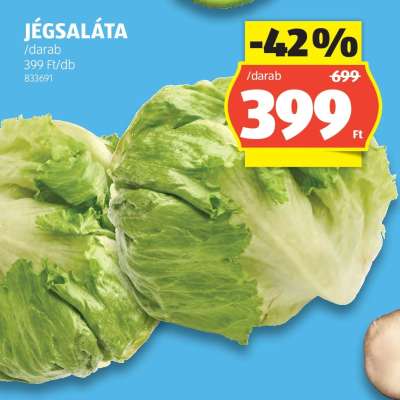 Jégsaláta