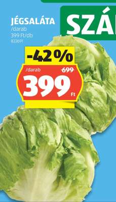 Jégsaláta