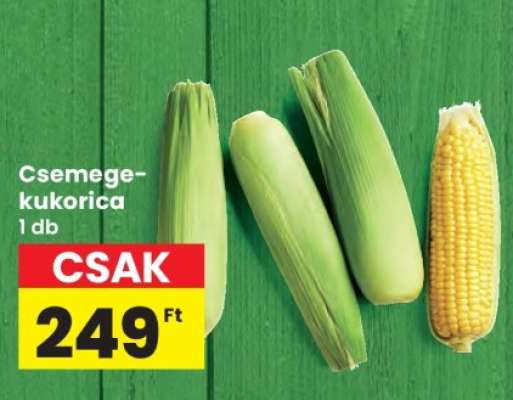 Csemege-kukorica