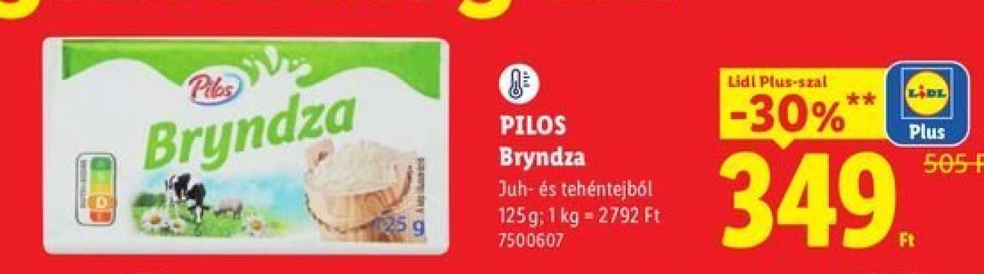 PILOS Bryndza