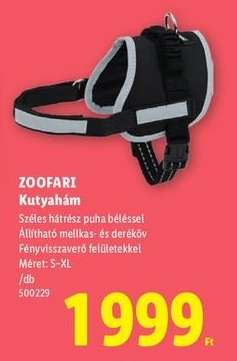 zoofari Kutyahám