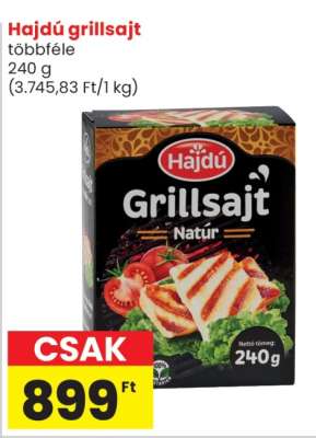 HAJDÚ GRILLSAJT