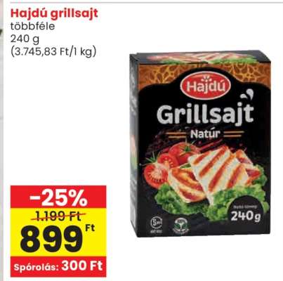 HAJDÚ GRILLSAJT