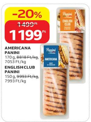 Panini
