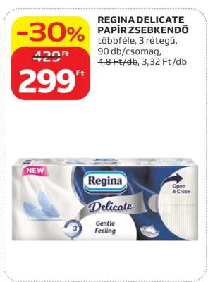 Regina Delicate papír zsebkendő