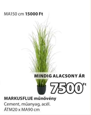 MARKUSFLUE MŰNÖVÉNY