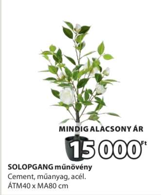 SOLOPGANG műnövény
