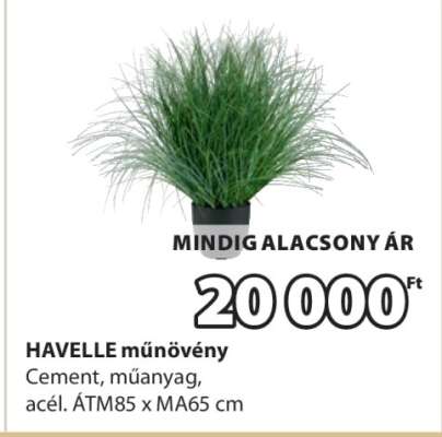 HAVELLE műnövény