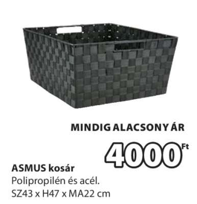 ASMUS kosár