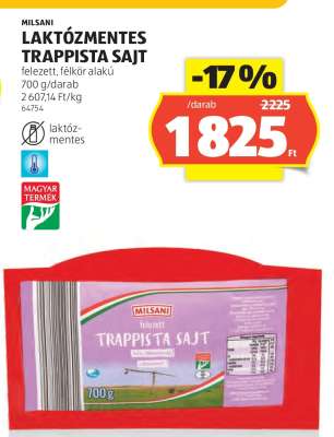 MILSANI LAKTÓZMENTES TRAPPISTA SAJT