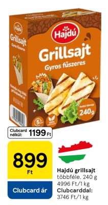 HAJDÚ GRILLSAJT