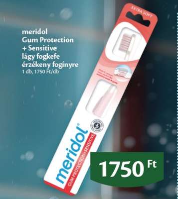 meridol Gum Protection + Sensitive