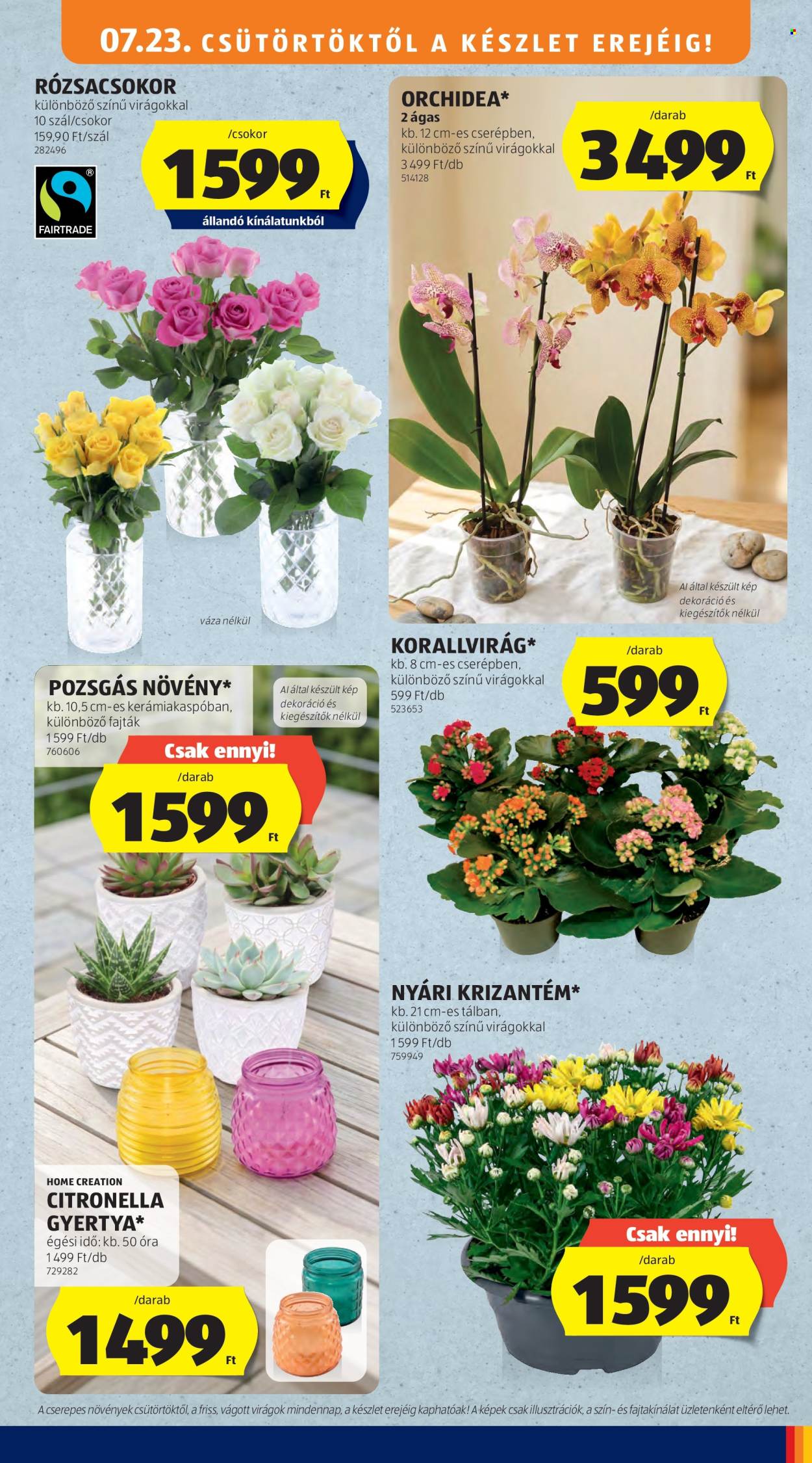 Aldi akciós újságok - 2026.07.23 - 2026.07.29. Oldal 13