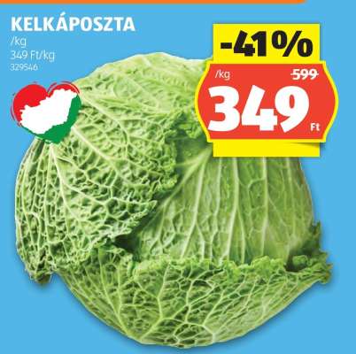 Kelkáposzta