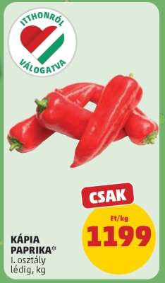 Kápia paprika