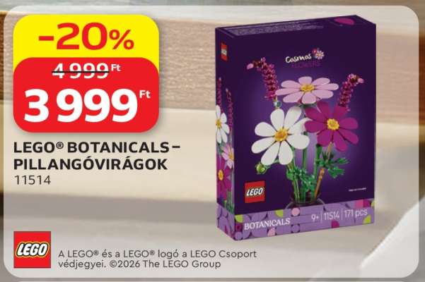 LEGO® BOTANICALS – PILLANGÓVIRÁGOK