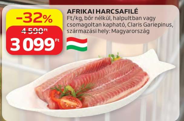Afrikai Harcsafilé