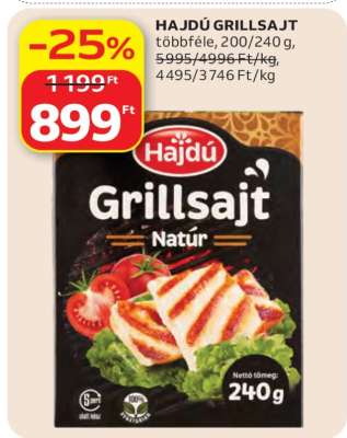 HAJDÚ GRILLSAJT