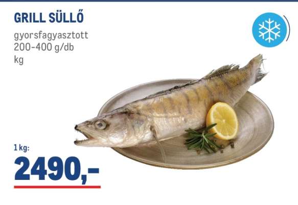 GRILL SÜLLŐ