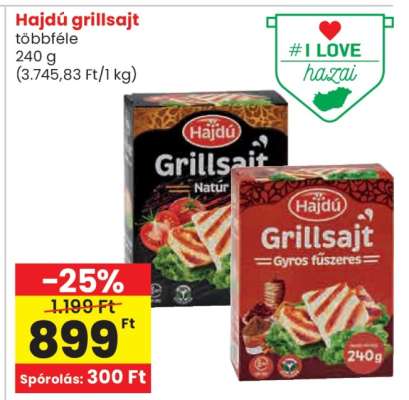 HAJDÚ GRILLSAJT