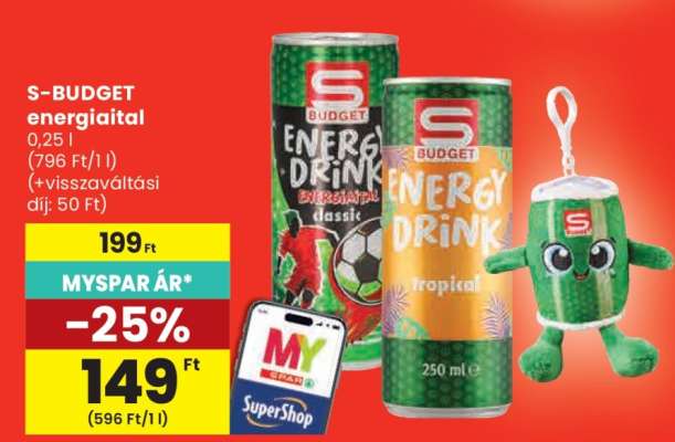 S-BUDGET energiaital