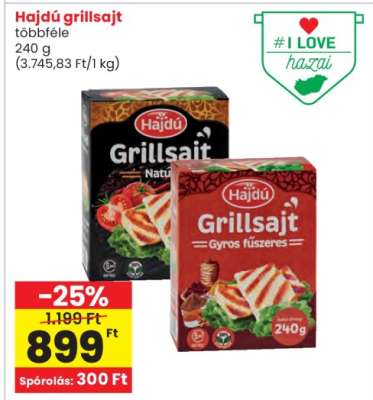 HAJDÚ GRILLSAJT