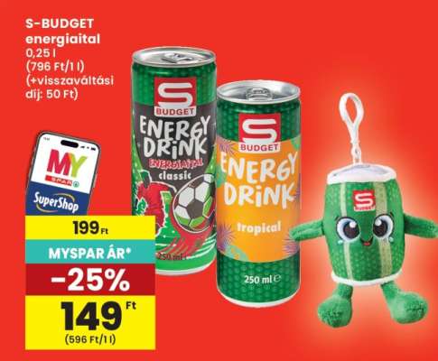 S-BUDGET energiaital