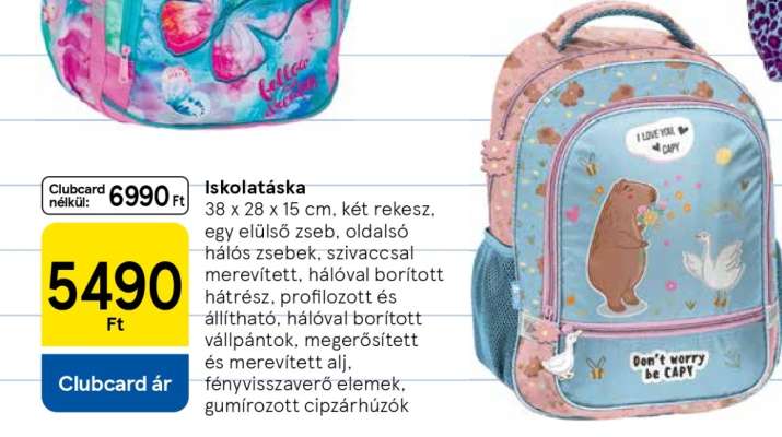 Iskolatáska
