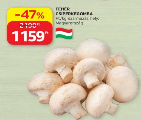 Fehér csiperkegomba