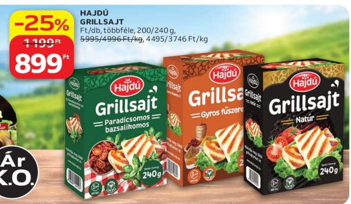HAJDÚ GRILLSAJT