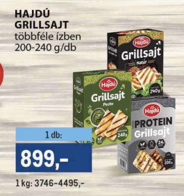 HAJDÚ GRILLSAJT