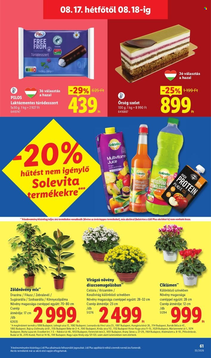 Lidl akciós újságok - 2026.08.13 - 2026.08.19. Oldal 61