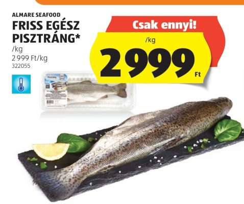 Friss egész pisztráng