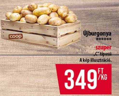 Újburgonya