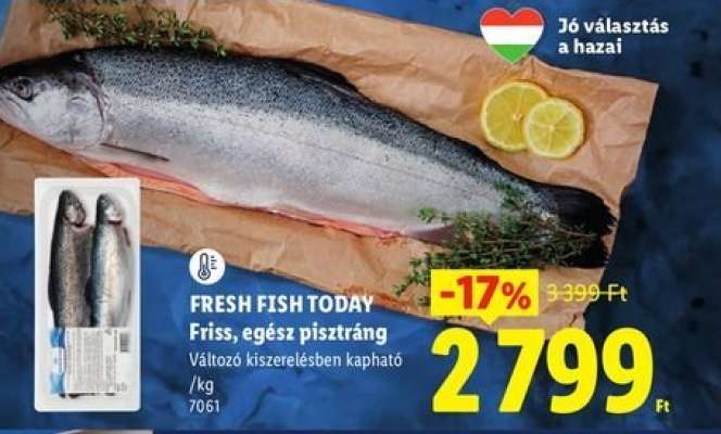 Friss egész pisztráng