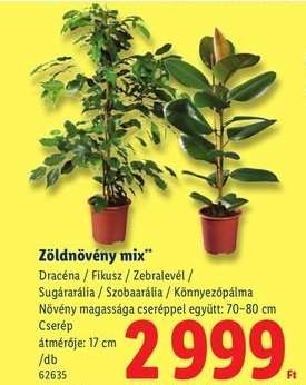Zöldnövény mix