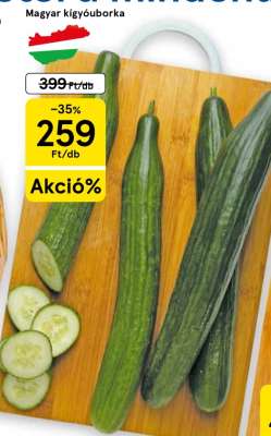 Magyar kígyóuborka