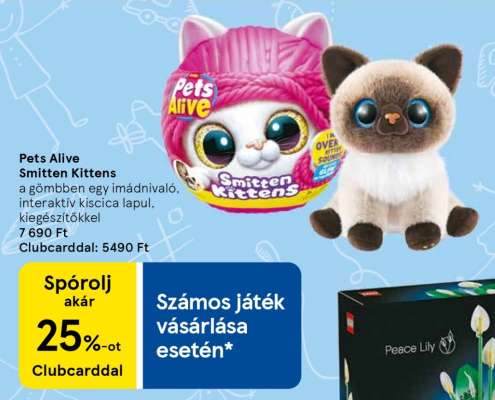 Pets Alive Smitten Kittens