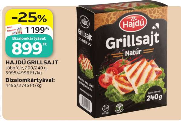 HAJDÚ GRILLSAJT