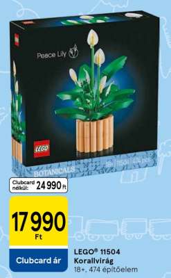 LEGO® 11504 Korallvirág