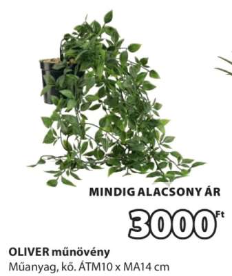 OLIVER műnövény