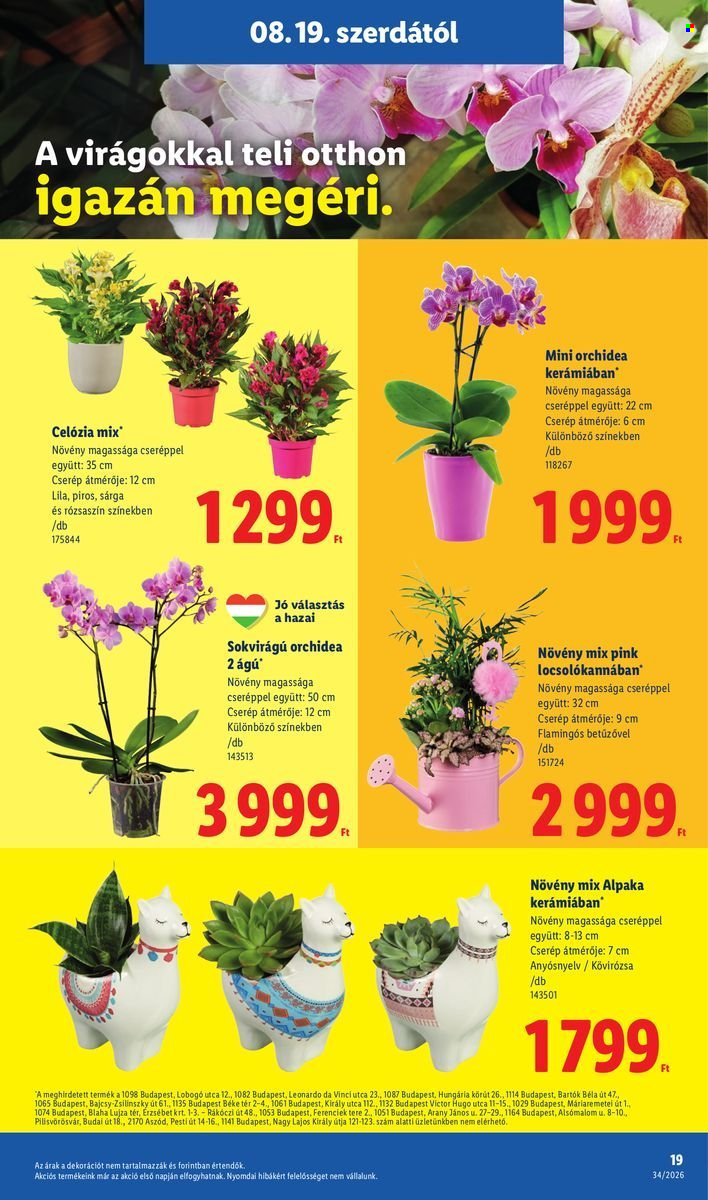 Lidl akciós újságok - 2026.08.19 - 2026.08.26. Oldal 19